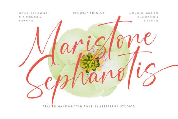 Maristone Sephanotis: A Designer's Field Review