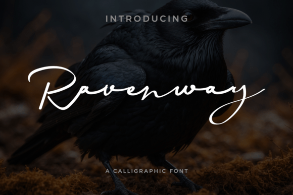Ravenway Review: A Bold Script for Modern Brand Identity