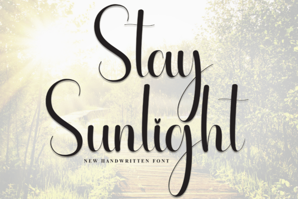 Stay Sunlight: The Script Font for Scroll-Stopping Brand Content